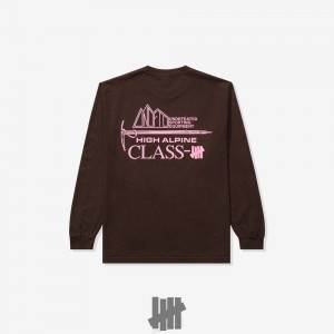 Undefeated Undftd UNDEFEATED ALPINE L/S TEE Tees Braun | JROUP-0486