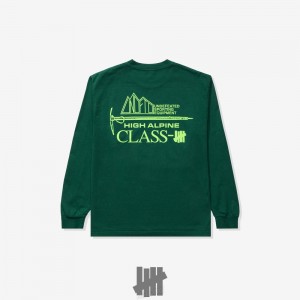 Undefeated Undftd UNDEFEATED ALPINE L/S TEE Tees Grün | IFKUP-5164