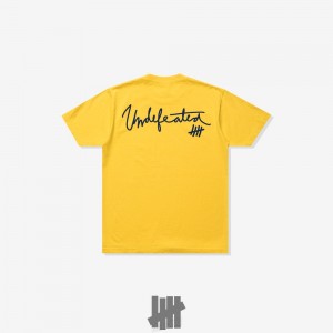 Undefeated Undftd UNDEFEATED BASEBALL SCRIPT S/S TEE Tees Zitrone | SRNMP-1973