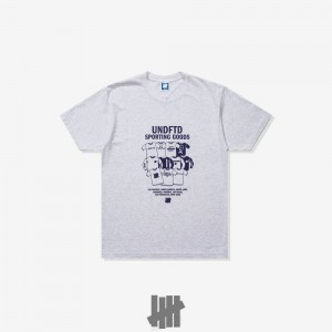 Undefeated Undftd UNDEFEATED CATALOG S/S TEE Tees Grau | NJSRV-5076