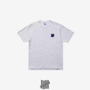 Undefeated Undftd UNDEFEATED ICON S/S TEE Tees Grau | PWSDO-8307