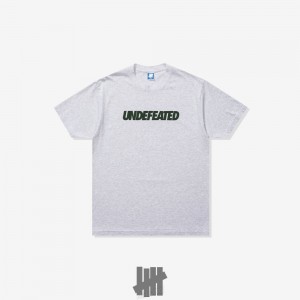 Undefeated Undftd UNDEFEATED LOGO S/S TEE Tees Grau | YTVQL-7890