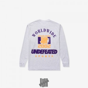 Undefeated Undftd UNDEFEATED SUN L/S TEE Tees Grau | ZKQFI-0729