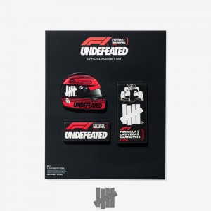 Undefeated Undftd UNDEFEATED X F1 LVGP MAGNET SET Other MULTI | JSDOH-8461