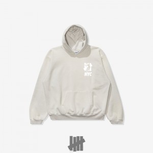 Undefeated Undftd UNDEFEATED X UNION SHAOLIN HOODIE Fleeces Hellgrau | UGXJI-9768