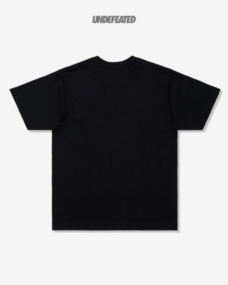 Undefeated Undftd UNDEFEATED CATALOG S/S TEE Tees Schwarz | PIQZE-0253