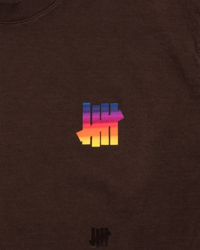 Undefeated Undftd UNDEFEATED GRADIENT L/S TEE Tees Braun | HKZIG-4093