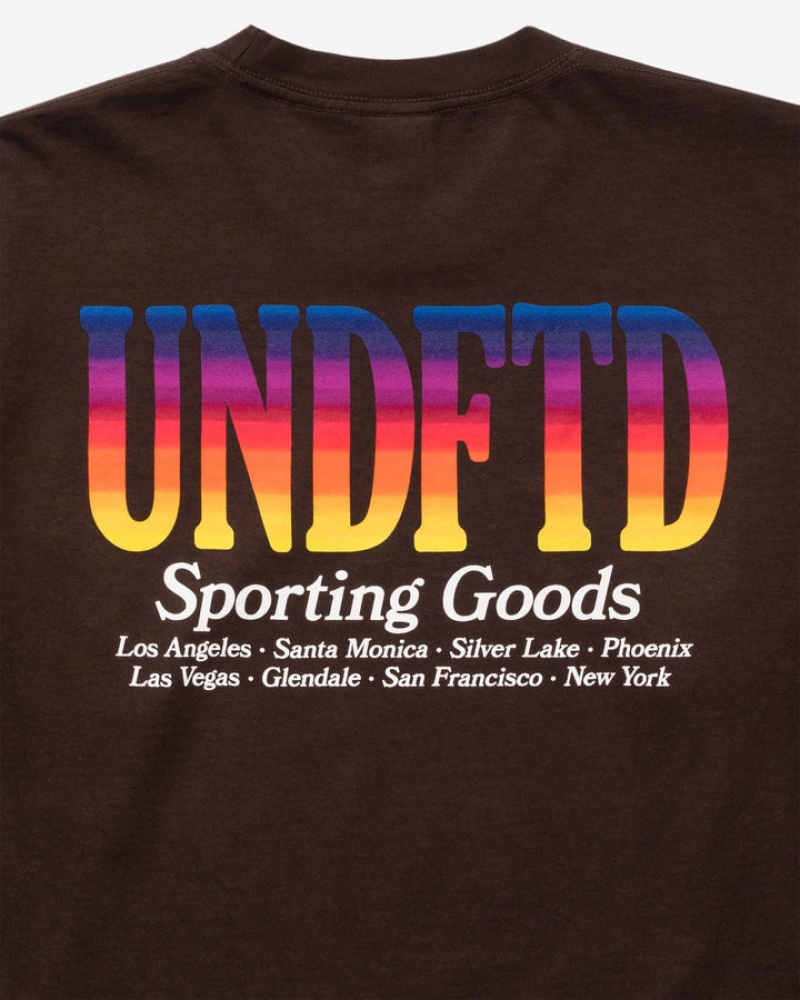 Undefeated Undftd UNDEFEATED GRADIENT L/S TEE Tees Braun | HKZIG-4093