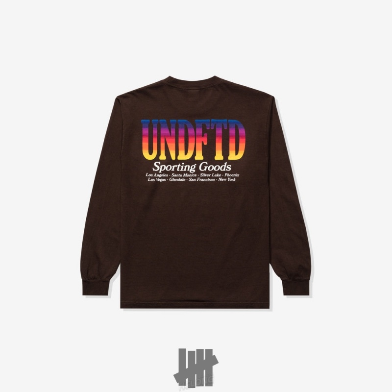 Undefeated Undftd UNDEFEATED GRADIENT L/S TEE Tees Braun | HKZIG-4093