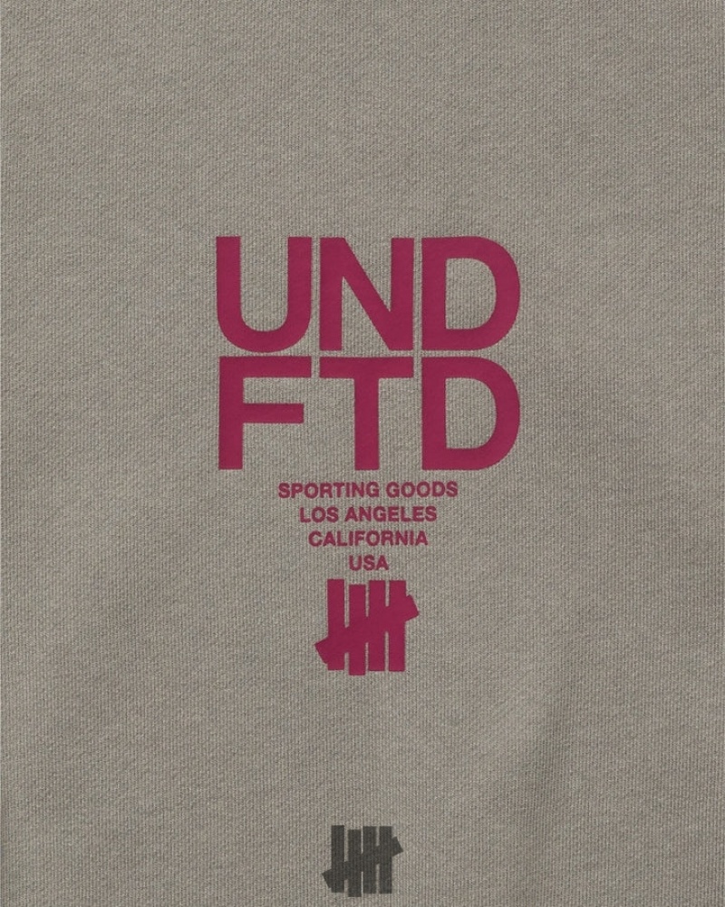 Undefeated Undftd UNDEFEATED ROOTS CREWNECK Fleeces Grau | DZBTN-8456