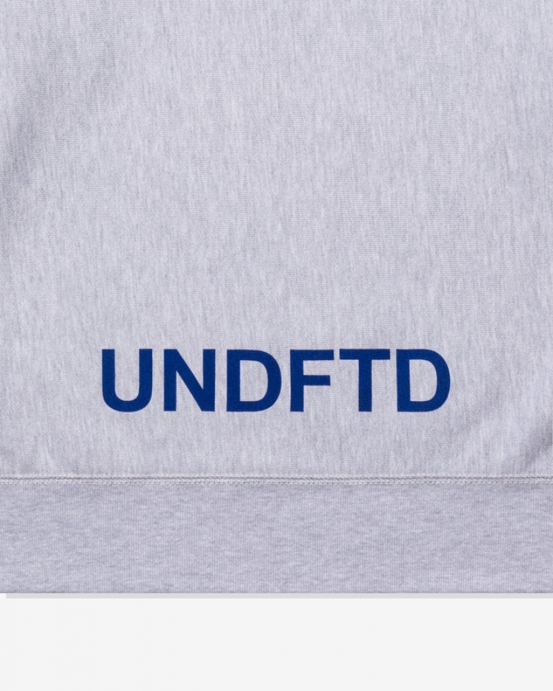 Undefeated Undftd UNDEFEATED X BCFC TEAM CREWNECK Fleeces Grau | CTPXB-6501