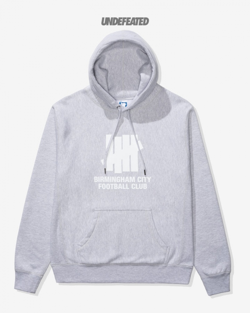 Undefeated Undftd UNDEFEATED X BCFC TEAM HOODIE Fleeces Grau | BKIYA-4531