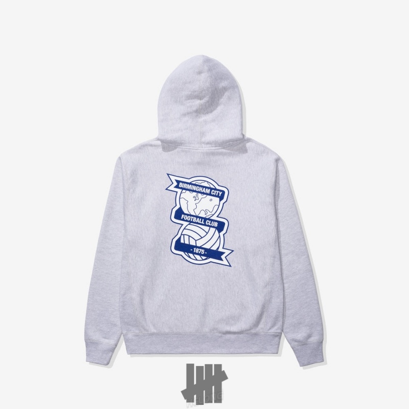 Undefeated Undftd UNDEFEATED X BCFC TEAM HOODIE Fleeces Grau | BKIYA-4531