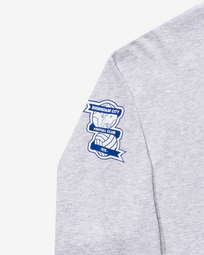 Undefeated Undftd UNDEFEATED X BCFC TEAM L/S TEE Tees Grau | UFBQX-1352