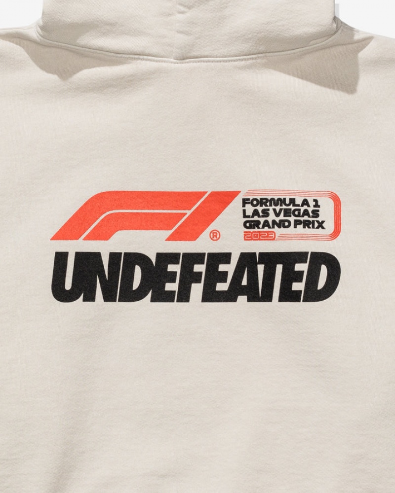 Undefeated Undftd UNDEFEATED X F1 LVGP LOGO HOODY Fleeces CEMENT | GYQMP-6572